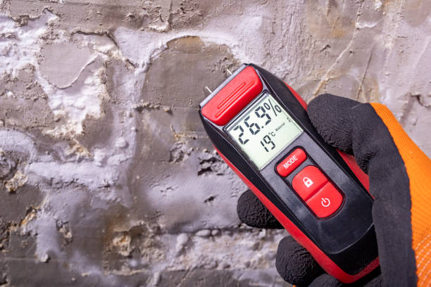 Best Water Damage Restoration  in Robertsde, AL