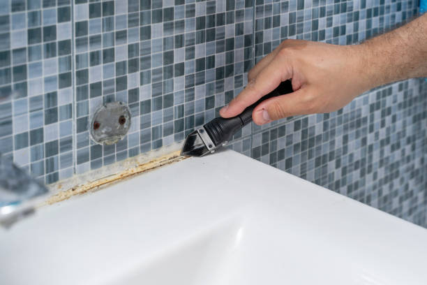 Best Commercial Mold Removal  in Robertsde, AL