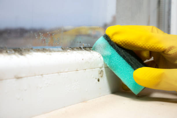 Best Mold Remediation Services  in Robertsde, AL