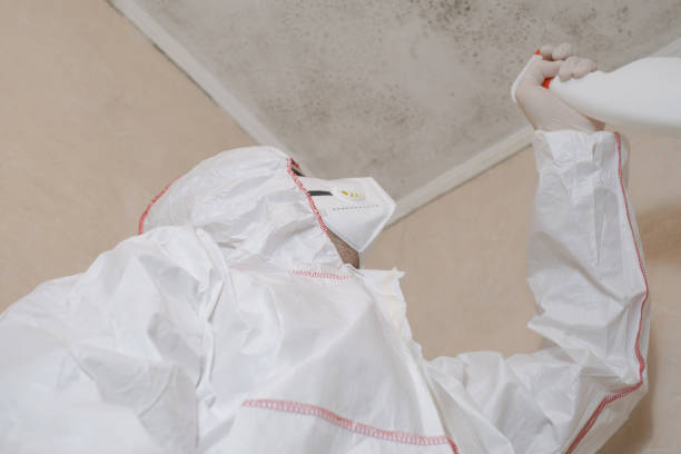 Best Mold Testing  in Robertsde, AL