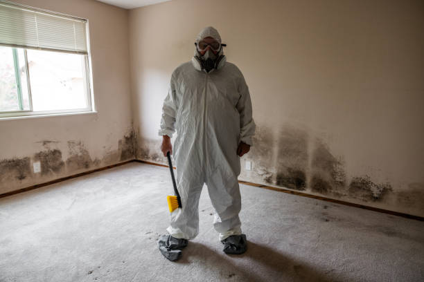 Best Mold Remediation  in Robertsde, AL