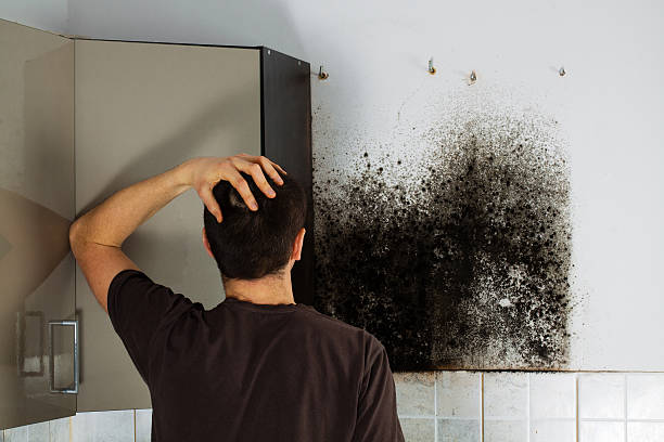Best Attic Mold Removal  in Robertsde, AL